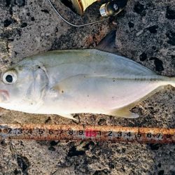 暴風の夕マズメにオニヒラアジ メタルマルでも釣れた