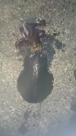 明けましておめでとうございます!