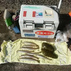 播磨新島赤灯台波止へキス釣査