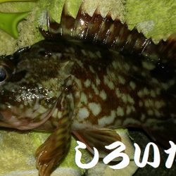 今年２回目の釣りはチビガッシー祭り！