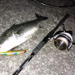 シーバスゲット