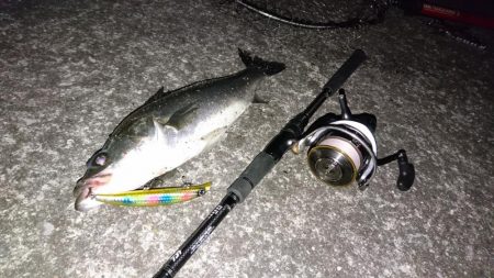 シーバスゲット