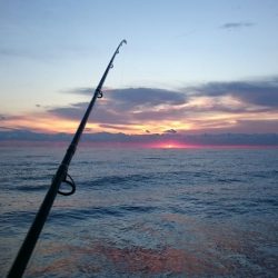 初釣りは撃沈！