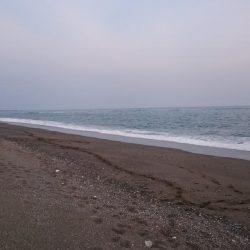 午前不発、午後パッパ！