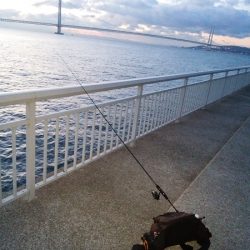 ガッシーは裏切らない