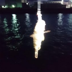 サイズが小さい