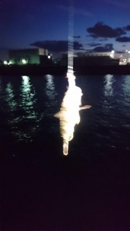 サイズが小さい