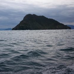 ジギング初め！