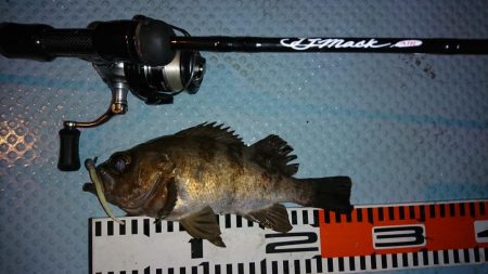 ボートメバリング