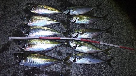 ゴールデンウィーク（GW）2018 鳥取でオススメの釣り