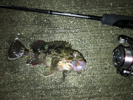 雨後の爆風釣行