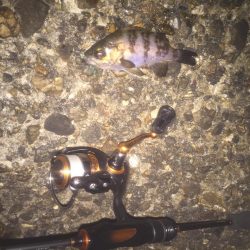 寒波襲来の前に！