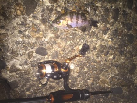 寒波襲来の前に！