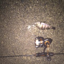 寒さとの戦い！