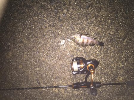 寒さとの戦い！