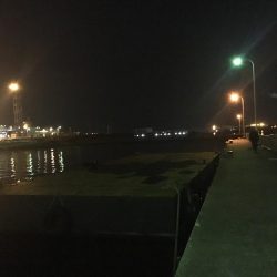 冬のフェリーターミナルにて