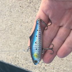 新居浜菊本護岸にてルアー釣り