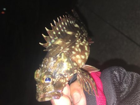 今日は、楽しかった！