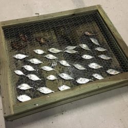 大阪から２時間。美しく豊かな港でのんびり釣行。