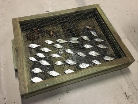 大阪から２時間。美しく豊かな港でのんびり釣行。