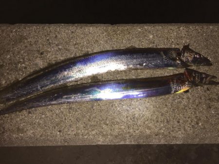 タッチー君、いました。