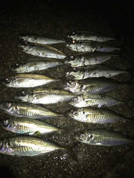 ゴールデンウィーク（GW）2018　淡路島でオススメの釣り