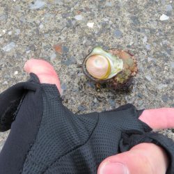 想定外の雨天釣行