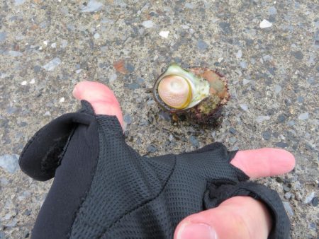 想定外の雨天釣行