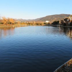 久しぶりの開成釣行は爆釣！