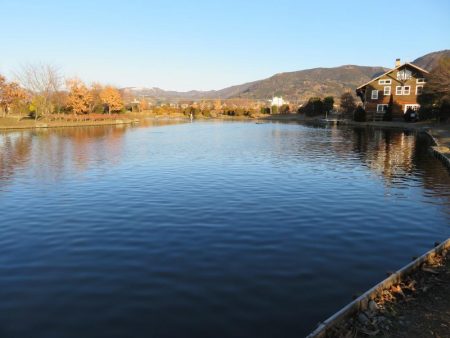 久しぶりの開成釣行は爆釣！