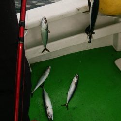 第二美丸　ブリ狙い