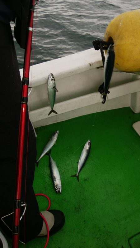 第二美丸　ブリ狙い