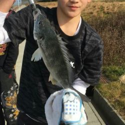 珍しい  冬  キビレ