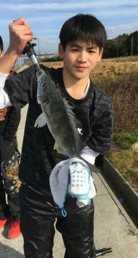 珍しい  冬  キビレ