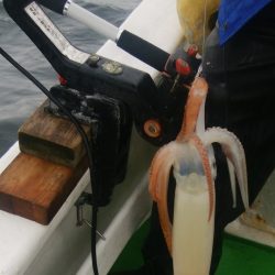 第二美丸　ブリ狙い