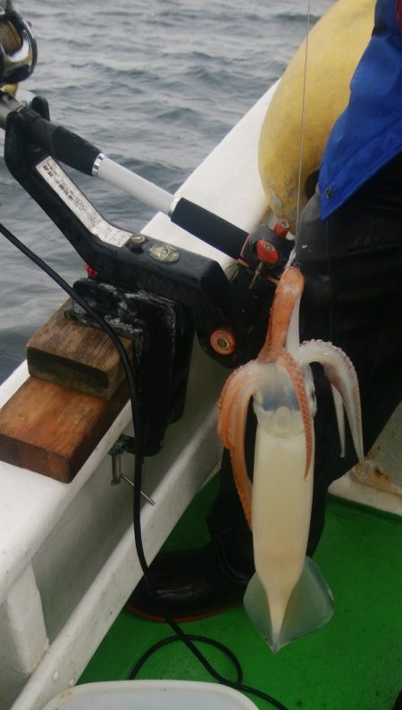 第二美丸　ブリ狙い