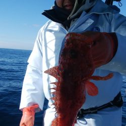 第二美丸　ブリ狙い