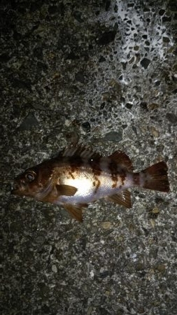 ライトゲームランガン