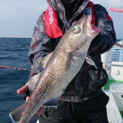 第二美丸　マダラ狙い