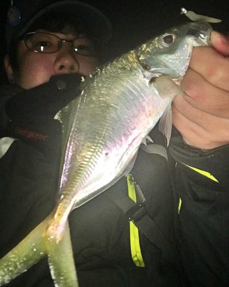 アジング 釣り納め