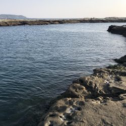 2018 初エギング