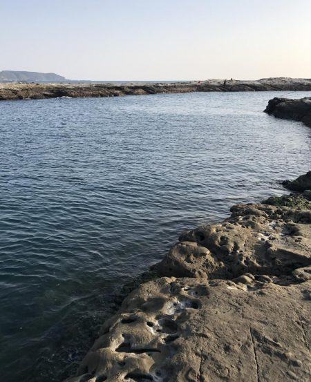 2018 初エギング