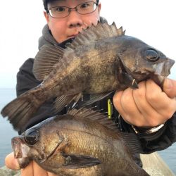 朝爆メバリング！