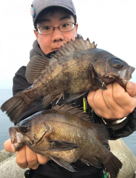 朝爆メバリング！