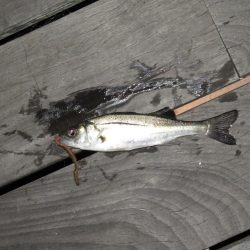 爆風に耐える！