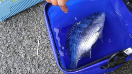 狙ってたんと違う