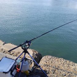 過去最高アベレージ