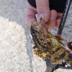 爆風デイゲーム