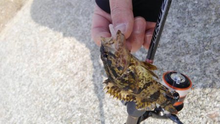 爆風デイゲーム