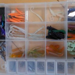 ガシリング(ガシラ×1)